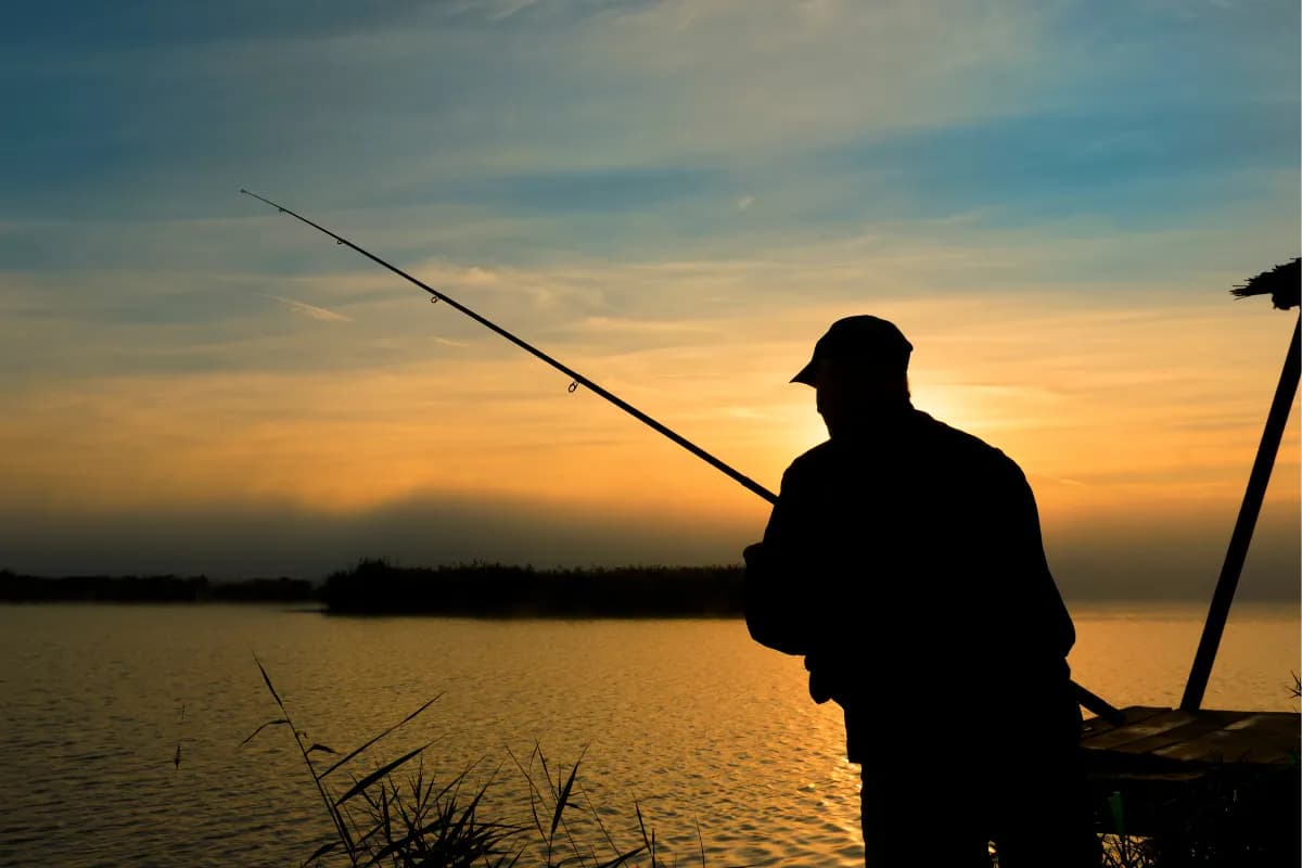 Gdzie na ryby z noclegiem? Najlepsze miejsca w Polsce na wędkowanie